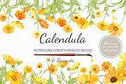 Vector object brushes. Calendula, a Brush Add-On by Peolla (Thumbnail 1 of 16)