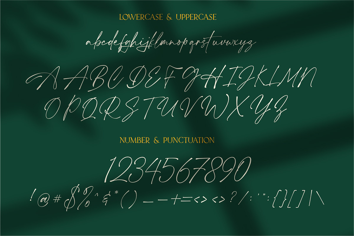 Aurellie Calestion Signature Font, a Script Font by typeline studio (Photo 9 of 10)