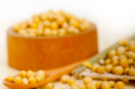 organic soya beans, a Food & Drink Photo by keko64