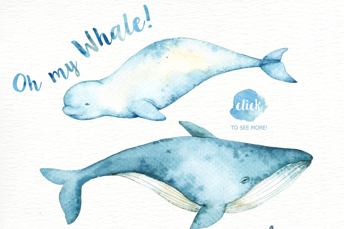 Oh My Whale! Watercolor Clip Arts, an Animal Illustration by everysunsun (Photo 4 of 4)