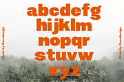 Sugreen – Organic Display Font, a Sans Serif Font by cocodesign (Thumbnail 7 of 9)