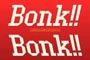 CS Bedford – Modern Slab Serif, a Slab Serif Font by Craft Supply Co. (Thumbnail 6 of 8)