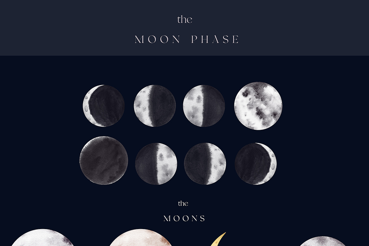 Cosmos moon underwater dreams, an Animal Illustration by nathalieclaire (Photo 3 of 13)