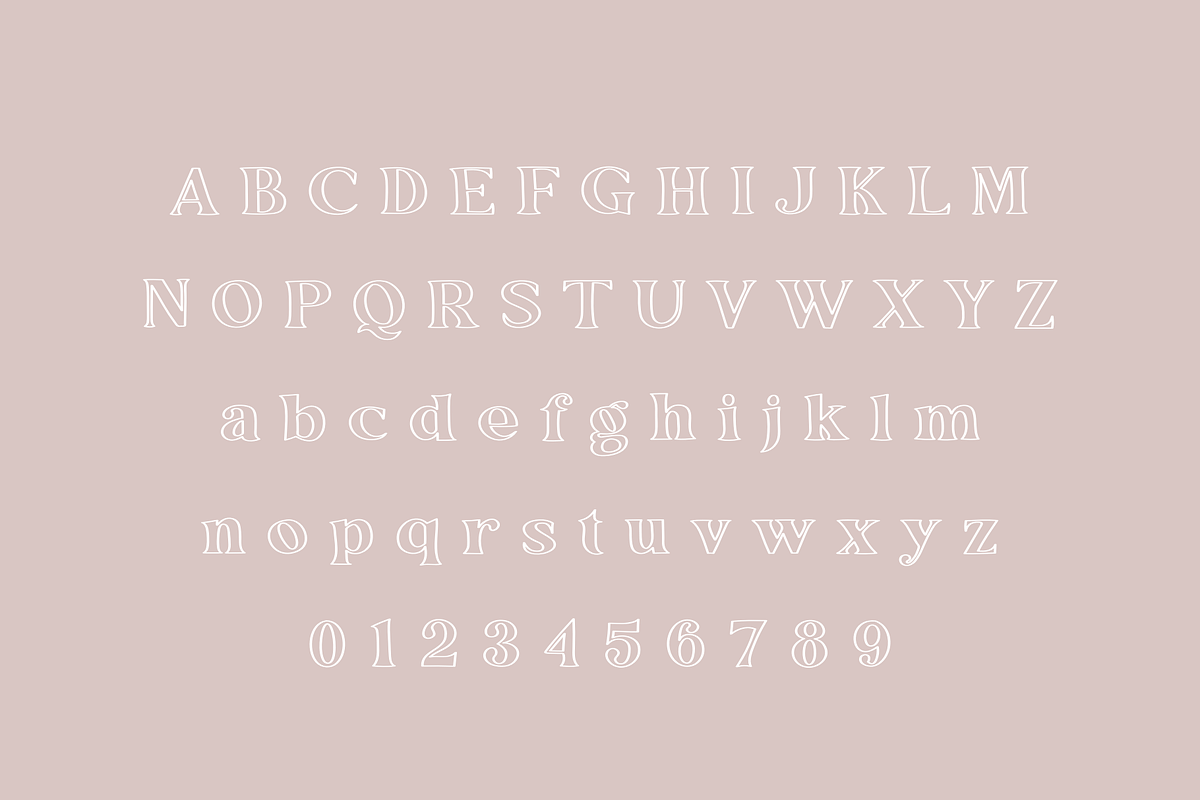 Apple Hill Duo, a Serif Font by Sofia Skoog (Photo 4 of 12)
