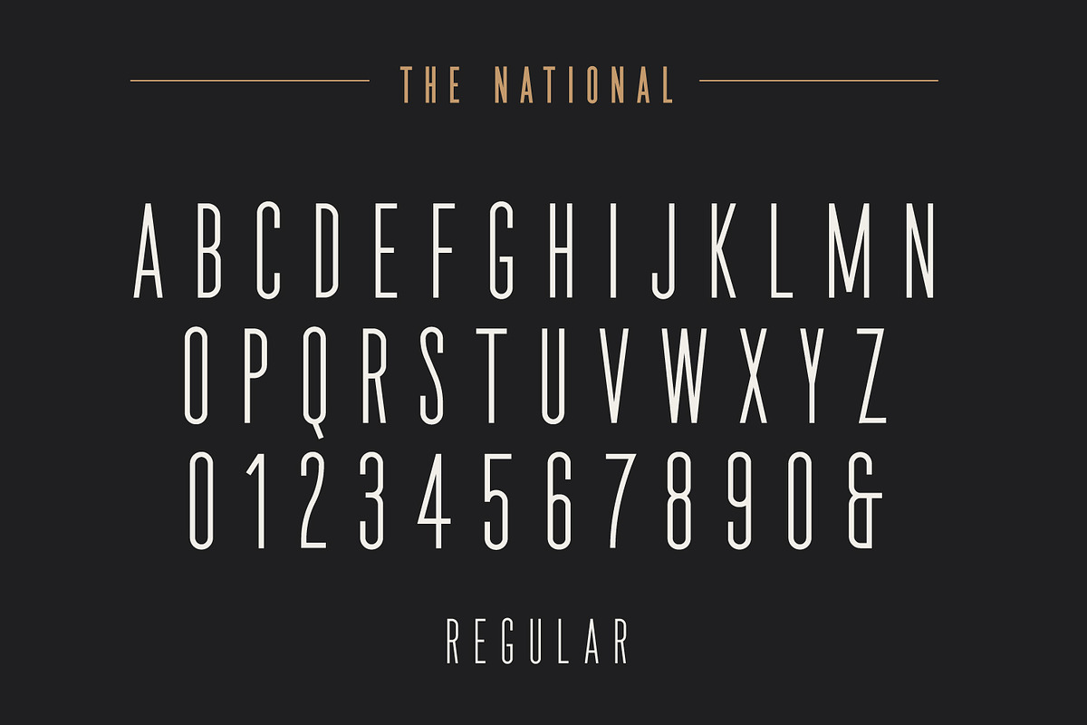 The National | Condensed Type Family, a Sans Serif Font by Hustle Supply Co. (Photo 9 of 15)