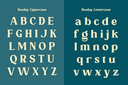 Bunlay, a Serif Font by ahweproject (Thumbnail 5 of 10)