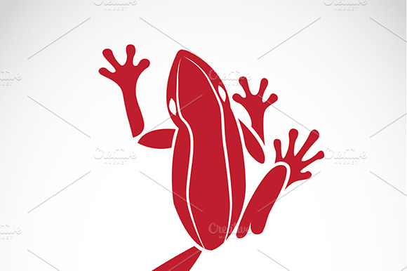 Red Frog On A White Background.