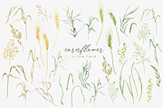 Knapweed and wildflowers collection, an Illustration by ReachDreams (Thumbnail 3 of 12)