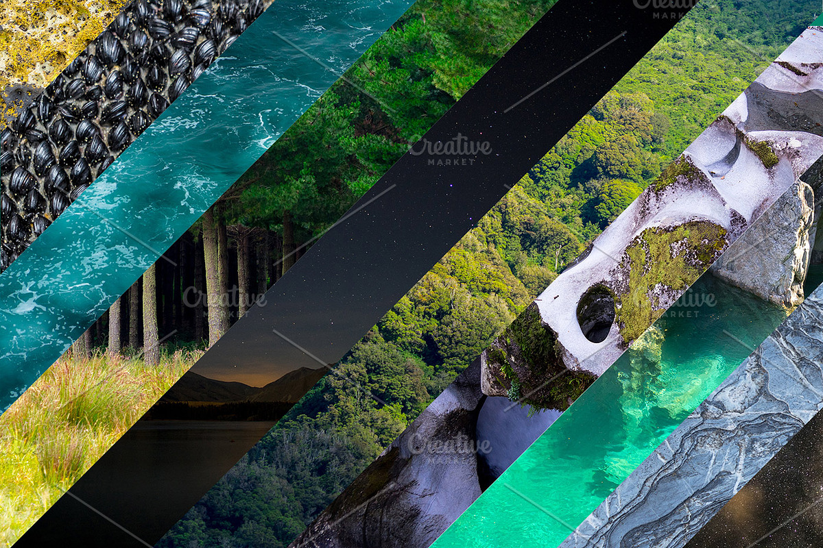 Textures of New Zealand - Bundle, a Nature Photo by Deviant (Photo 4 of 5)