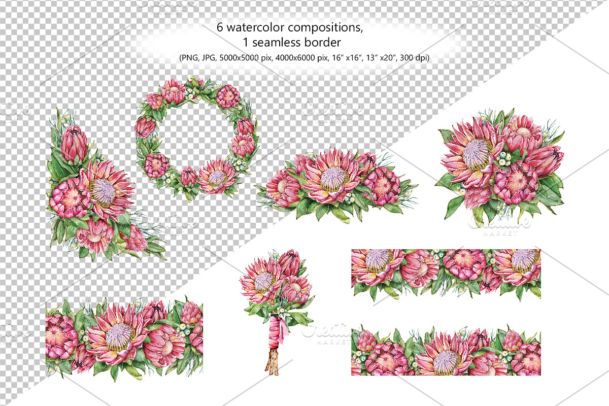 Watercolor protea flower set, an Illustration by Artmanata (Photo 4 of 18)