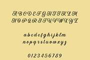 Filgar – A Luxurious Script, a Script Font by Creative Foundry (Thumbnail 7 of 9)