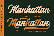 Laguna Hills Font, a Script Font by RedyStudio (Thumbnail 2 of 12)