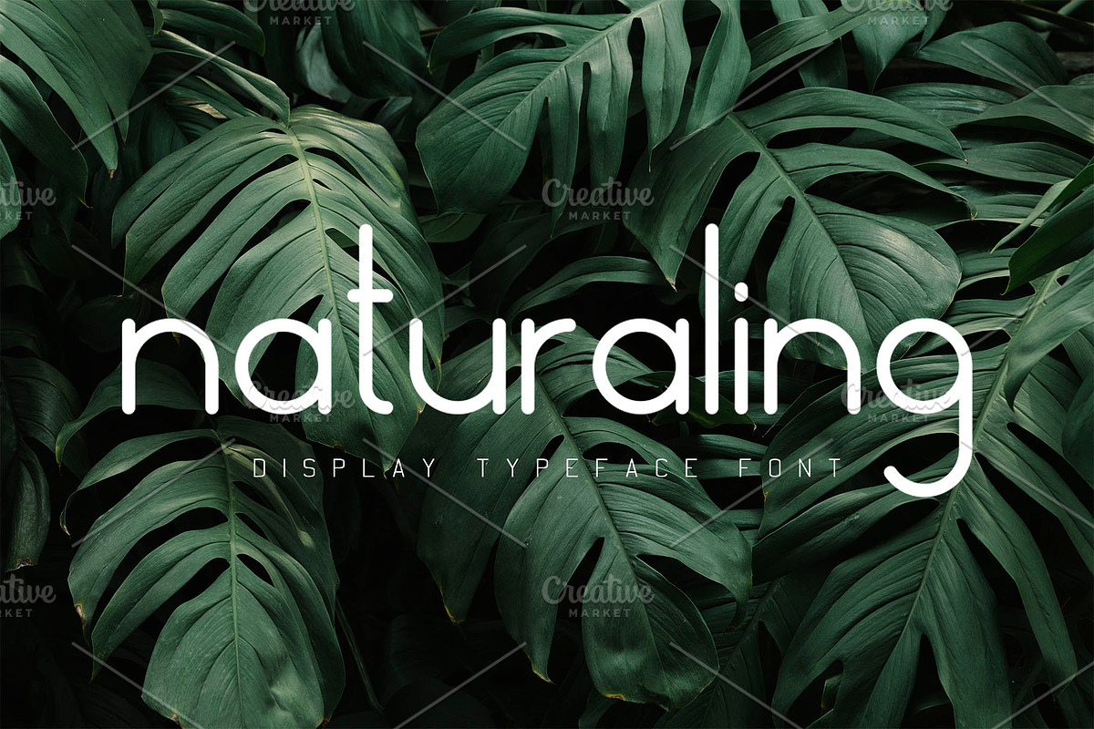 Naturaling Display Font
