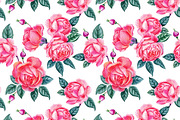 Roses, an Illustration by Watercolor life (Thumbnail 6 of 6)