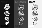 Fruits - hand drawn vector set, a Food Illustration by Margo Miller (Thumbnail 21 of 25)