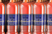 Ekkehard Font, a Blackletter Font by Michael Browers (Thumbnail 3 of 5)