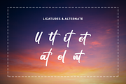 Gamotrella - Brush Font, a Handwritten Font by RockboyStd (Thumbnail 11 of 12)
