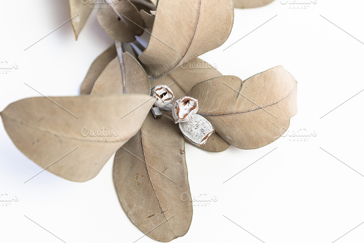 Neutral Stock Photo Bundle 1, a Photo by Savvy Stock Shop (Photo 8 of 13)