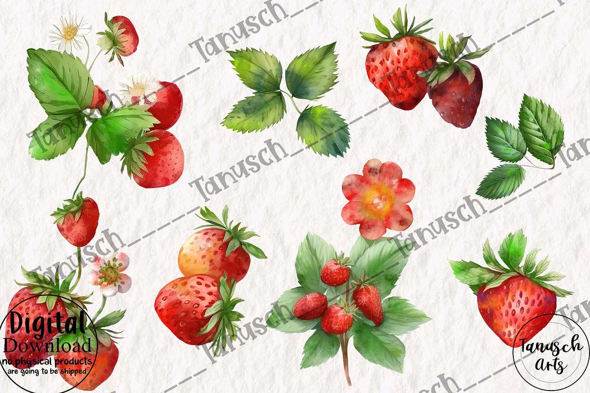 Watercolor Strawberry Clipart Berry, a Food Illustration by TanuschArts (Photo 3 of 4)