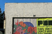 FIESTA DEL SOL, a Decorative Illustration by Kukla Studio (Thumbnail 7 of 7)