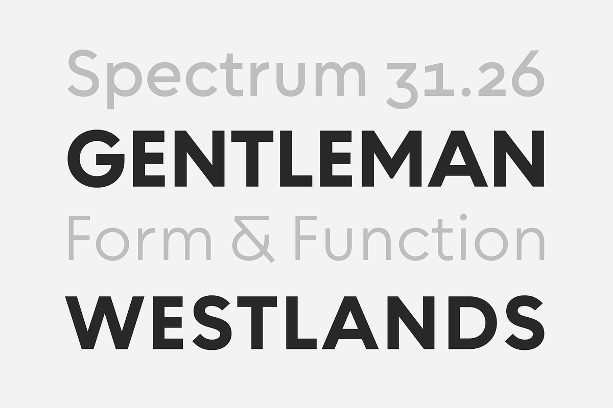 Chesna Grotesk, a Sans Serif Font by Horizon Type Foundry (Photo 5 of 19)