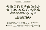 Bardies Bold Script Font, a Script Font by Pipello Grafik (Thumbnail 10 of 11)