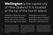 TT Wellingtons, a Sans Serif Font by TypeType (Thumbnail 8 of 15)