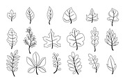 leaves collection outline icons, an Object Illustration by nicollr's store (Thumbnail 2 of 2)