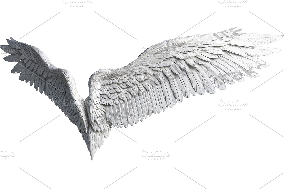 set of photorealistic angel wings, an Object Graphic by itakdalee (Photo 2 of 11)