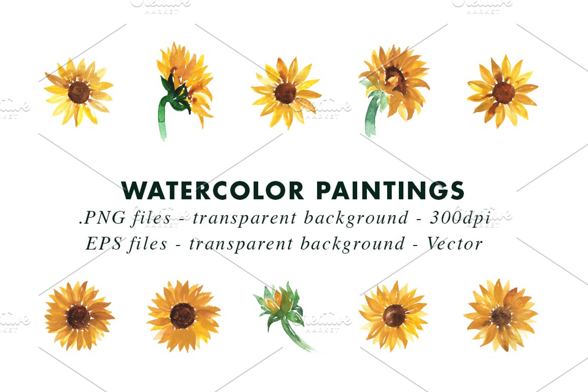 10 Watercolor Sunflower, an Illustration by Heartmade by Claudia (Photo 2 of 3)