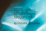 Roselly Serif Font, a Serif Font by Graphue (Thumbnail 3 of 9)