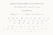 Mellanie Calligraphy Font, a Handwritten Font by Pen Culture (Thumbnail 8 of 9)