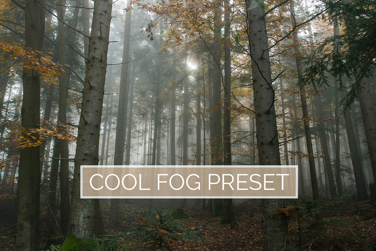 10 Cool Fog Lightroom Presets