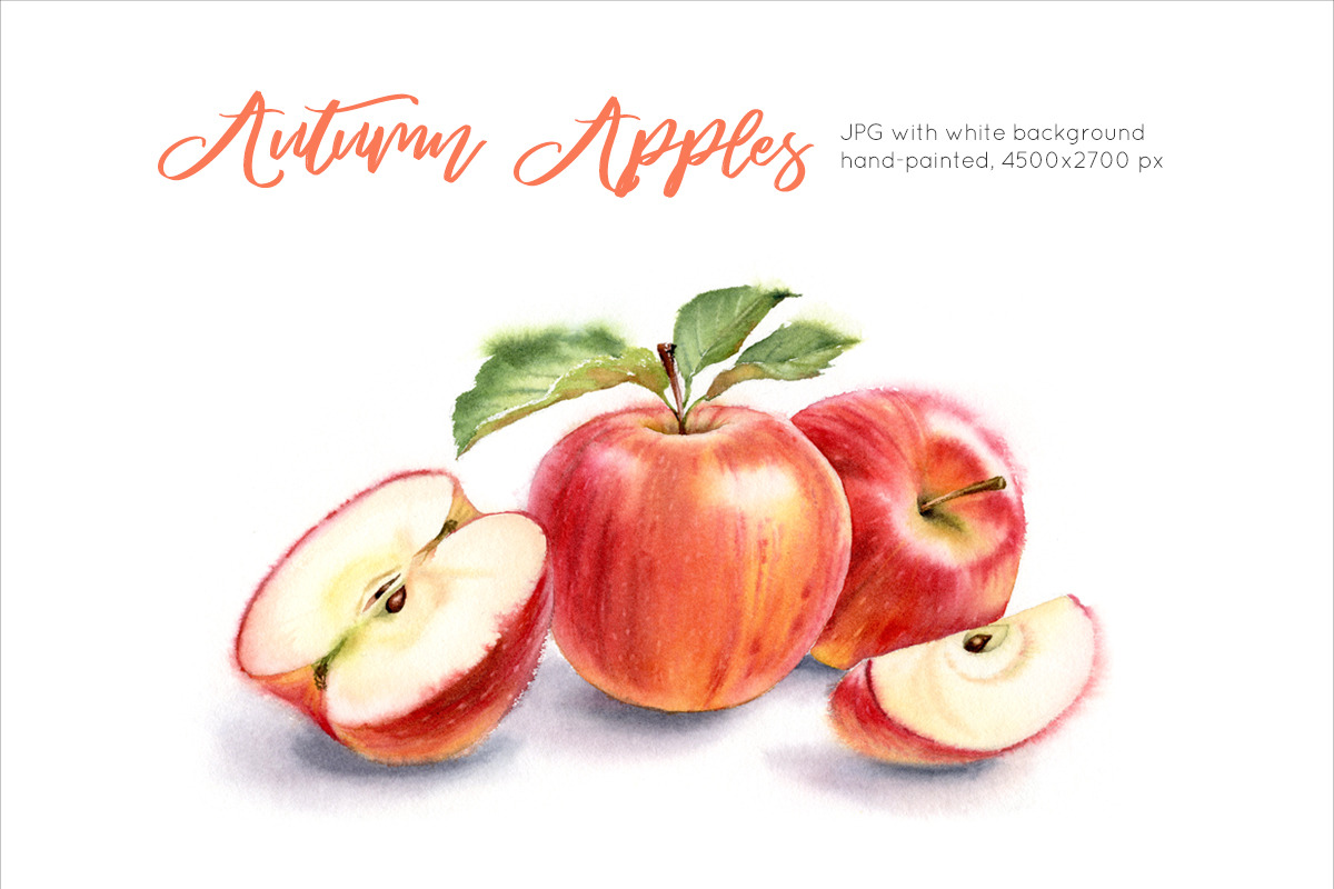 Autumn Red Apples. Watercolor, a Graphic by Akvarelldesign