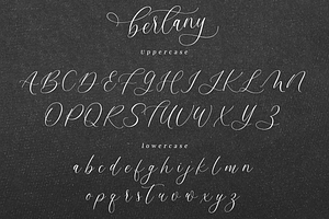 Bertany - Modern Calligraphy Font