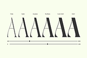 Pavon - 6 Tropic Family, a Serif Font by Dharmas Studio (Thumbnail 6 of 16)