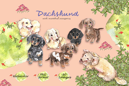 Dachshunds-Watercolor Clipart
