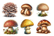 Edible Mushrooms Sublimation Clipart, an Illustration by SinaCreation (Thumbnail 3 of 5)