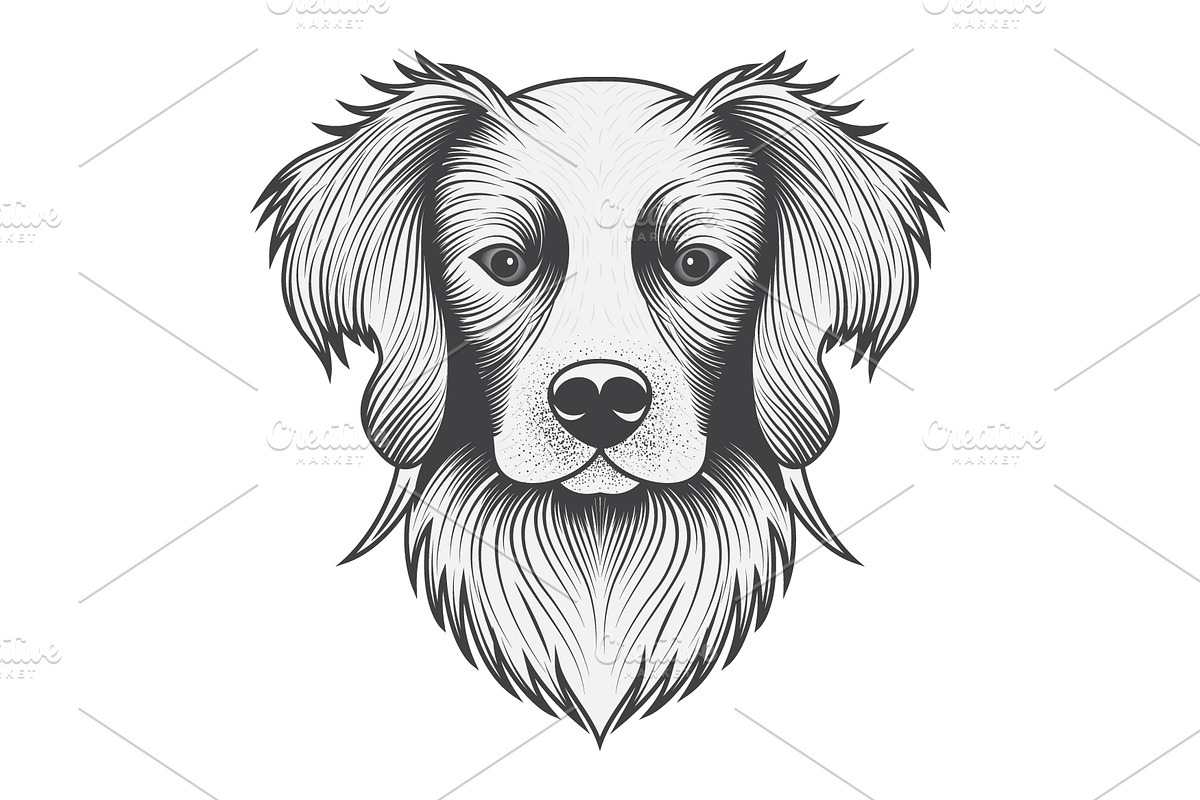 Black and White Dog Portrait, an Animal Illustration by Ghagra (Photo 1 of 4)