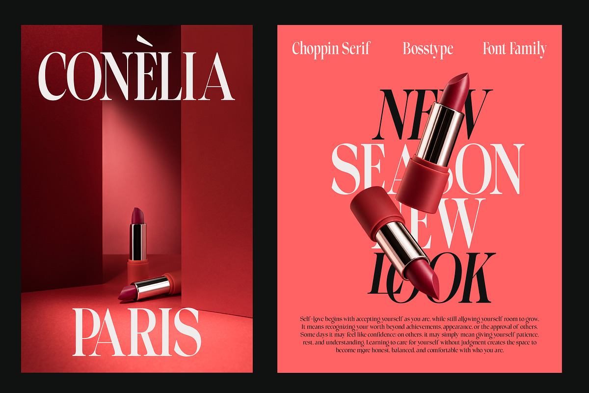 Choppin Serif | 91 Style Font, a Serif Font by Bosstype Studio (Photo 3 of 15)