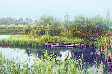 morning river in old dutch village, a Nature Photo by ariadna de raadt