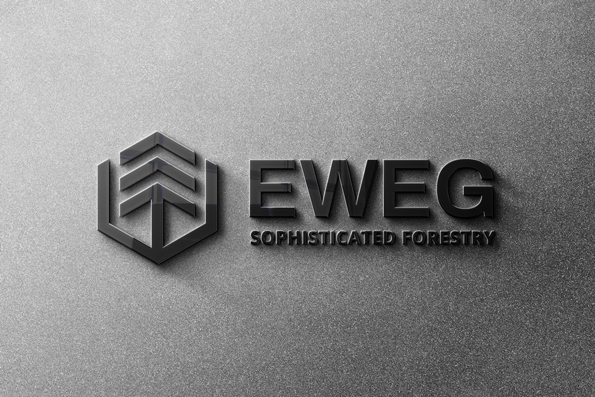 Eweg Fir Tree Wood Forest Logo, a Branding & Logo Template by Tovarkovdesign (Photo 3 of 6)