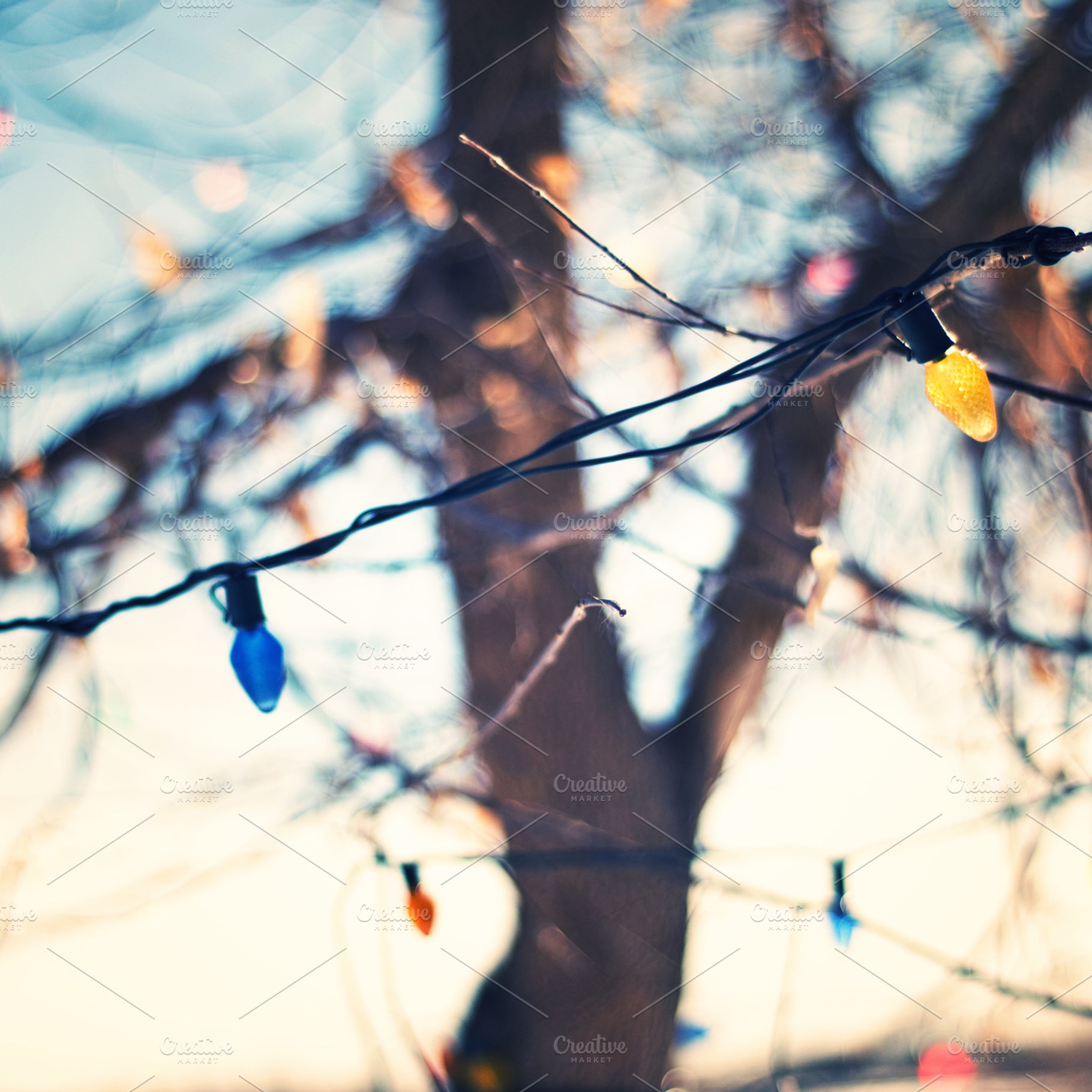 Christmas magic containing christmas, christmas lights, and lights, a Holiday Photo by Solefield