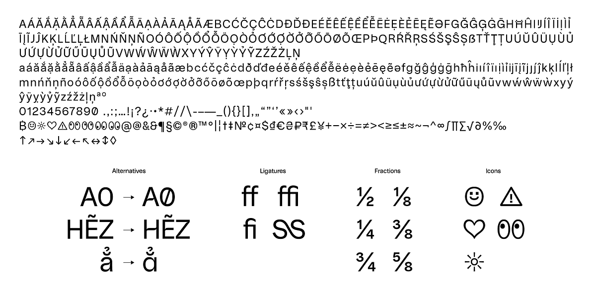DT Meman, a Sans Serif Font by DType (Photo 3 of 7)