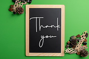 Grandma Signature, a Handwritten Font by FreshTypeINK (Thumbnail 5 of 8)