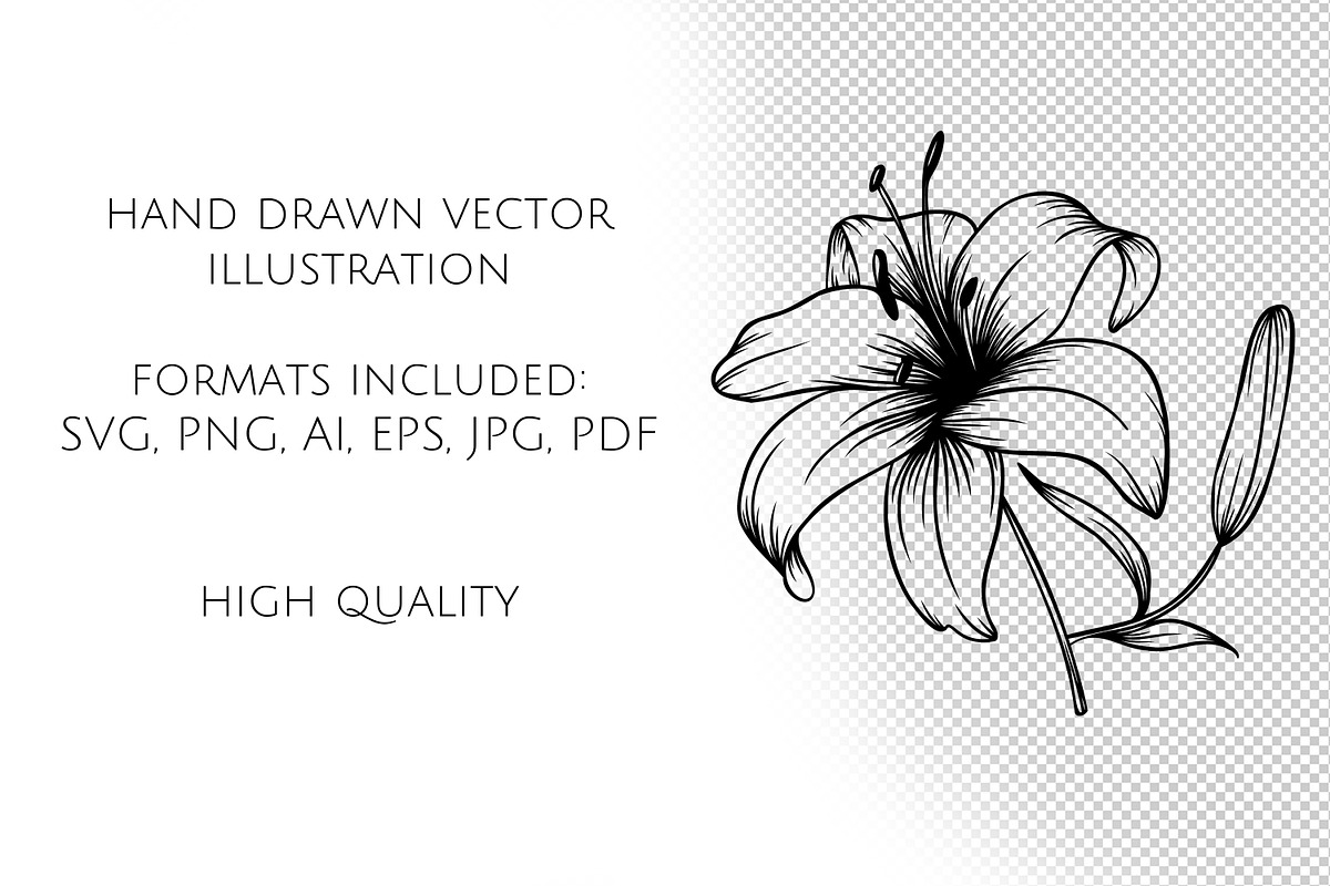 Lily Flowers Line Art SVG, an Object Graphic by Dervik Art Store (Photo 7 of 8)