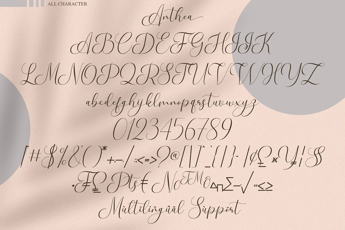 Anthea // Elegant Font, a Script Font by GDcreative (Photo 8 of 10)