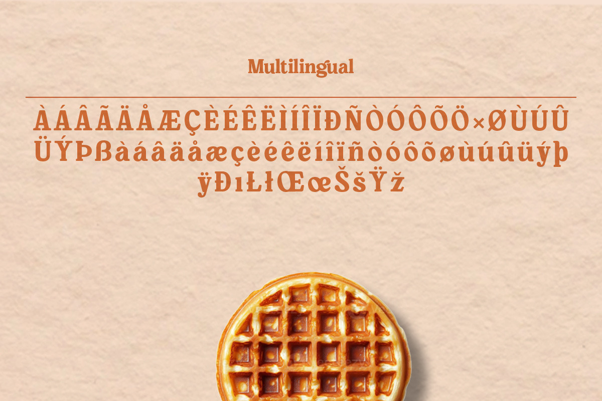 Carmelio | Vintage Serif, a Serif Font by ClevUs (Photo 12 of 12)