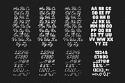 Litane - Handwritten Font Duo, a Script Font by Typeparties (Thumbnail 10 of 10)