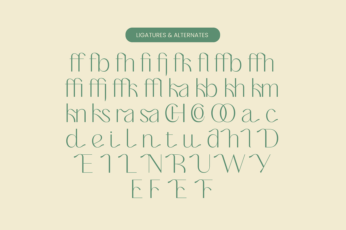 Adisan Richard Elegant Sans Serif, a Sans Serif Font by timelesstype.co (Photo 13 of 15)
